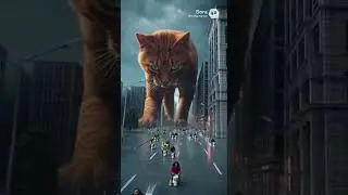 Monster Cat Attacks Sewerage CIty        #cat #funny