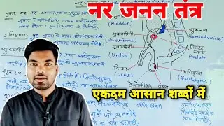 नर जनन तंत्र | Male Reproductive System | nar janan tantra | nar janan ang | By Monu sir