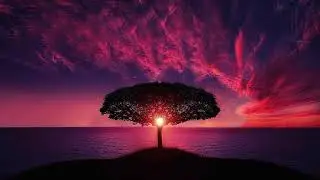 Soothing Evening Sunset Beat for Concentration & Relax | Soothing Beats