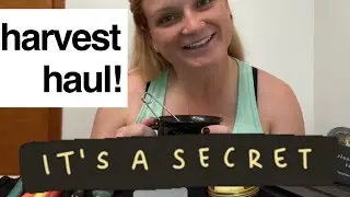 Witch Haul | Come shopping with me!