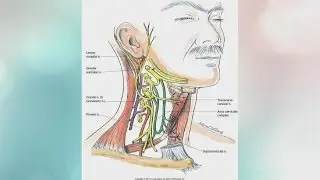 AZ Pain Centers has treatment options for neck and migraine pain