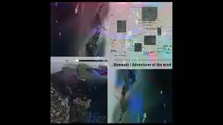 Mamwadi - Adventures of The Mind [re:flect]