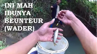 Mancing Babon Beunteur (Wader) - part 1