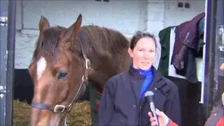 HorseMarket.ie - Leamore Sport Horses - Anna Calder