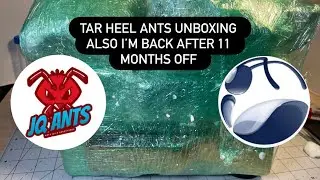 Tar Heel ants nest unpacking