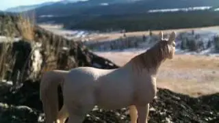 Schleich realistic pictures 2012