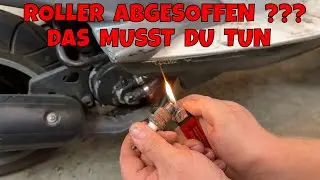 Roller abgesoffen / DAS kannst du tun und DAS sind die Gr&uuml;nde daf&uuml;r