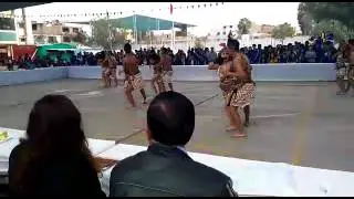 carnaval amazonico