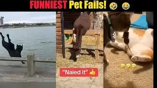 FUNNIEST Pet Fails! 🤣 😂 | Best Compilation 2026