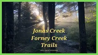 Jonas Creek / Forney Creek - Great Smoky Mountains