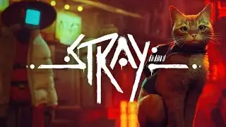 Проходим Stray, Котаны и Котанессы.