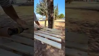 Build a Tree Bench Without Hurting the Tree! 💚 #handmade #diy #lifehacks #trendingshorts