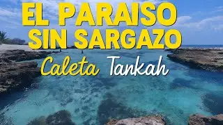 PARA&Iacute;SO SIN ZARGAZO | Caleta Tankah