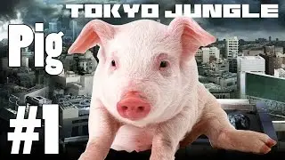 Tokyo Jungle: Pig Survive over 100 years Part 1 of 4