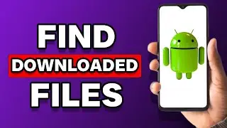 How To Find Downloaded Files On Android
