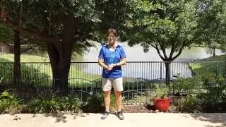 Learn Yang 24 Style Tai Chi Forms: Lessons 1-5: Run through