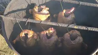 Rațe Afumate Cu Lemn De Viṣin ‼️ 🦆🔥🍒