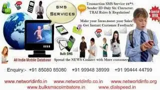 Web Designing Company in Salem - Net World