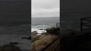 Saint Blaize Hiking Trail starting at the Khoi San Cave at The Point Mossel Bay South Africa