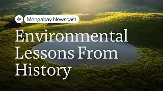 What environmental history reveals about our current &lsquo;planetary risk&rsquo;