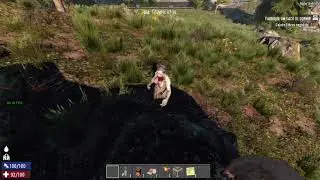 Gop 0 bframe 0