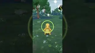 Getting a shiny charmander with special stamp rally background #shinypokemon