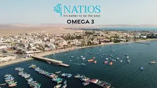 NATIOS Omega-3 Premium Anchovies, 1000 mg