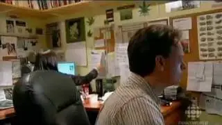 CBC - Prince Of Pot Documentary Part 2