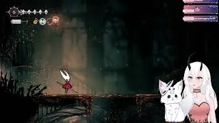 Pro Bug Enjoyer VS Fyaat Insect Destroyer! 🌸 Hollow Knight: Silksong