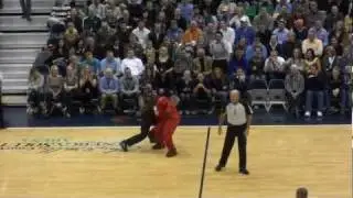 Jazz Bear fights arena usher