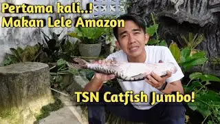 BIKIN NGILER🤤 INI RASA LELE AMAZON BAKAR UKURAN BESAR