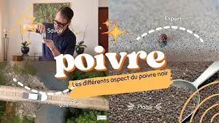 Le secret des poivres noirs  tout dépend du séchage !