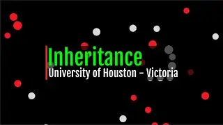 Inheritance