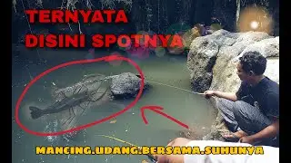 Mancing Udang di sungai, Sensasi Strike bertubi tubi mantap