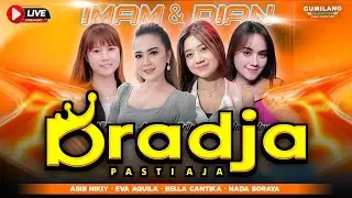 🔴LIVE DRADJA PASTI AJA - WEDDING IMAM ( PETROX CNY ) & DIAN - LEBAK PAKISAJI JEPARA - AS AUDIO