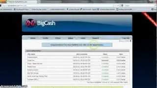 Southern Belle Marketing- How to set up ZNZ BigCash