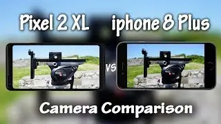 Google pixel 2 XL vs. iPhone 8 Plus Camera Comparison