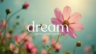 The Quiet Shape of a Dream 🌿🌸 Pink Cosmos Flowers Dancing 🌿🌸 Calming Nature ASMR Video
