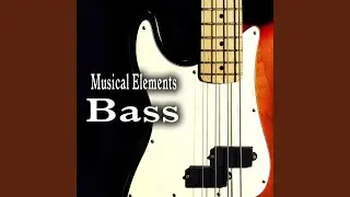 Two Note Acoustic Bass Accent