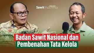 BADAN SAWIT NASIONAL DIBENTUK, DIHARAPKAN TATA KELOLA LEBIH BAIK DEMI POTENSI SAWIT RP 8.000 TRILIUN