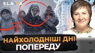 Похолодання вже стартувало! Далі сильні морози | Актуальний прогноз погоди від Наталки Діденко