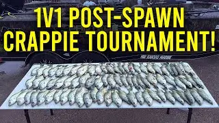 Post-Spawn Crappie Were BITING LIKE CRAZY!