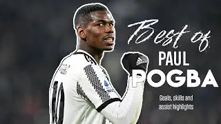 Best Of Paul Pogba Goals, Skills, Assists, Passes highlights