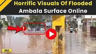 Haryana News: Ambala Flooded As Rain Lashes City, Roads Vanish | Haryana Flood