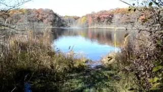 Ott Preserve, Emmett Township - Oct. 26, 2016