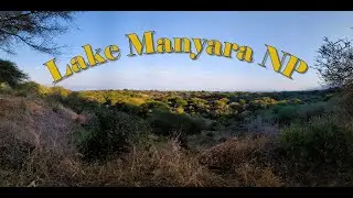 Game Drive Lake Manyara National Park