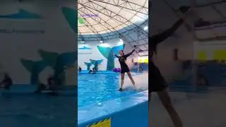 Swimming with dolphins 59 #beach #music #edm #games #shorts #trending #memes @ArbindNepal897
