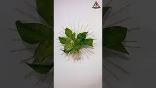 DIY Wall Decor with Used Chopsticks | Easy & Stylish Upcycle! 🥢✨
