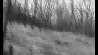 Sunday Fury - Bullet