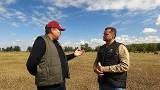 Арман Кабанов о выращивании скота qazaq aqbas на ферме Лбищенское